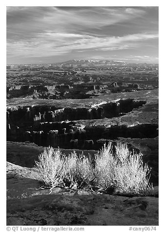 Monument Basin from Grand view point, Island in the sky. Canyonlands National Park, Utah, USA.