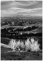 Monument Basin from Grand view point, Island in the sky. Canyonlands National Park, Utah, USA. (black and white)