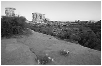 Wildflowers and towers, Big Spring Canyon overlook, sunrise, the Needles. Canyonlands National Park, Utah, USA. (black and white)