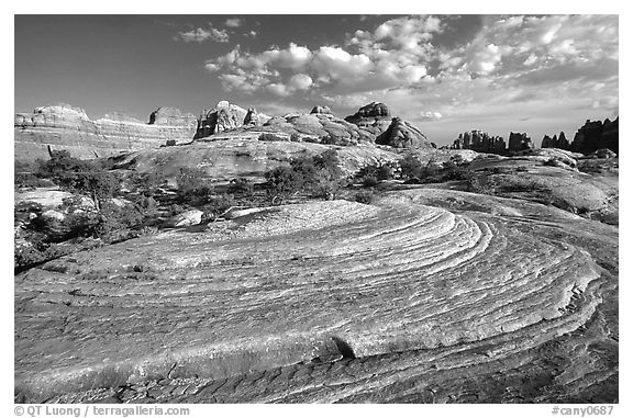 Circular sandstone striations near Elephant Hill, the Needles, late afternoon. Canyonlands National Park, Utah, USA.