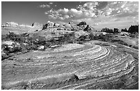 Circular sandstone striations near Elephant Hill, the Needles, late afternoon. Canyonlands National Park, Utah, USA. (black and white)