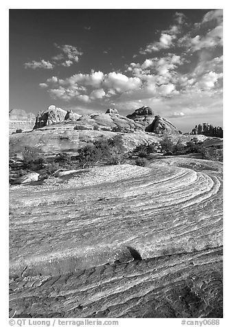 Sandstone swirls near Elephant Hill, the Needles, late afternoon. Canyonlands National Park, Utah, USA.