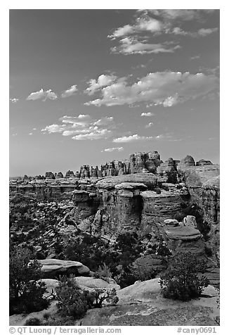 Last light on the Needles. Canyonlands National Park (black and white)