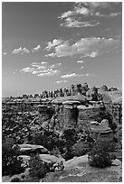 Last light on the Needles. Canyonlands National Park, Utah, USA. (black and white)