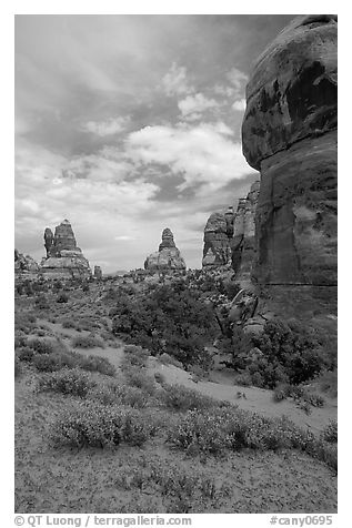 Sandstone towers, Chesler Park. Canyonlands National Park, Utah, USA.