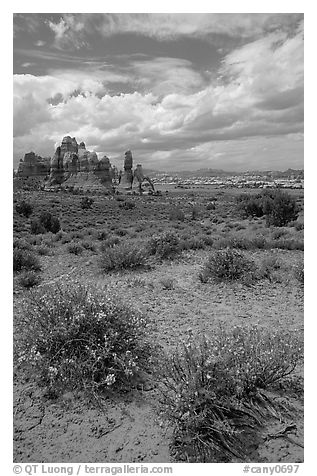 Sandstone towers in sandy flat basin, Chesler Park. Canyonlands National Park, Utah, USA.