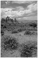 Sandstone towers in sandy flat basin, Chesler Park. Canyonlands National Park, Utah, USA. (black and white)