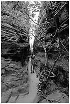 Hiker in narrow passage between rock walls, the Needles. Canyonlands National Park, Utah, USA. (black and white)