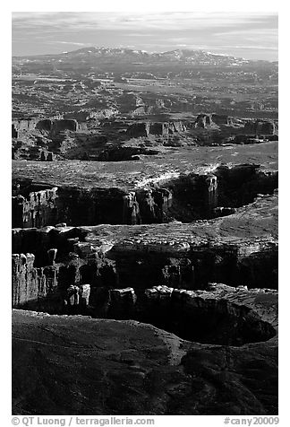 Monument basin from Grand View Point, Island in the Sky, late afternoon. Canyonlands National Park, Utah, USA.