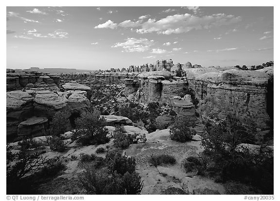 Elephant Canyon at sunset, the Needles. Canyonlands National Park (black and white)