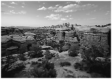 Elephant Canyon at sunset, the Needles. Canyonlands National Park ( black and white)