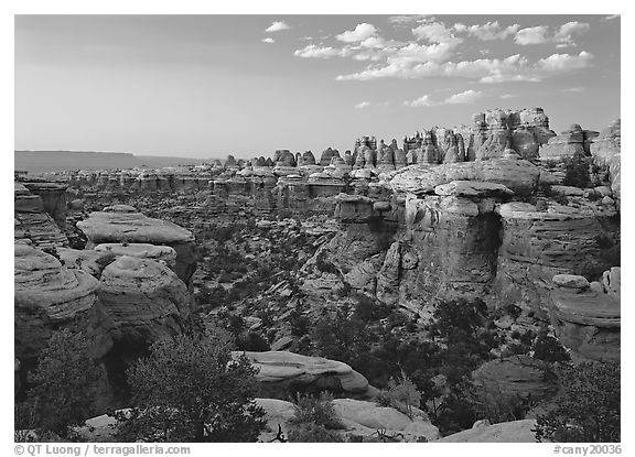 Elephant Valley, sunset. Canyonlands National Park, Utah, USA.