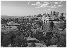 Elephant Valley, sunset. Canyonlands National Park ( black and white)