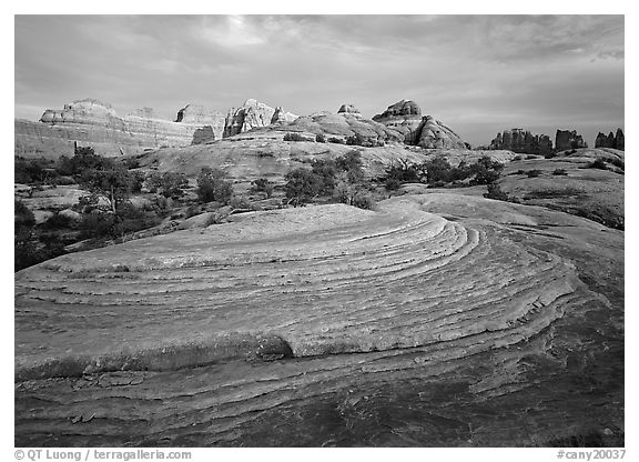 Rock swirls and spires at sunset, Needles District. Canyonlands National Park, Utah, USA.