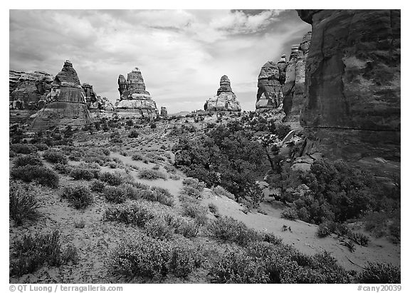 Sandstone towers, Chesler Park. Canyonlands National Park, Utah, USA.