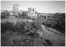 Spires at Big Spring Canyon, Needles District. Canyonlands National Park, Utah, USA. (black and white)
