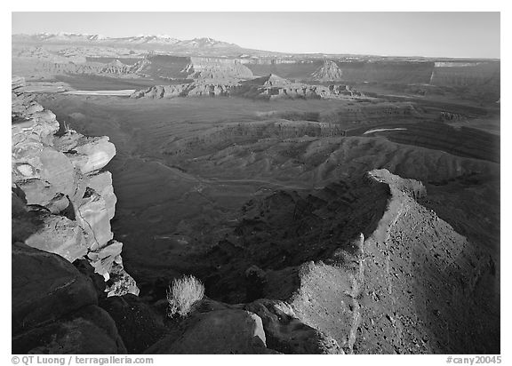 Dead Horse point at sunset. Canyonlands National Park (black and white)