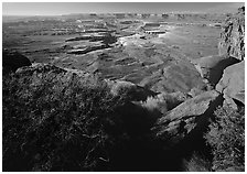 Green river overlook and Henry mountains, Island in the sky. Canyonlands National Park, Utah, USA. (black and white)