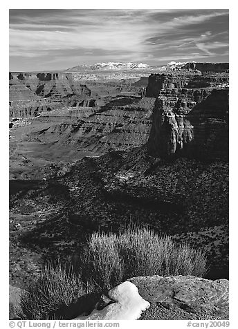 Distant canyons from Green River Overlook, Island in the Sky. Canyonlands National Park (black and white)