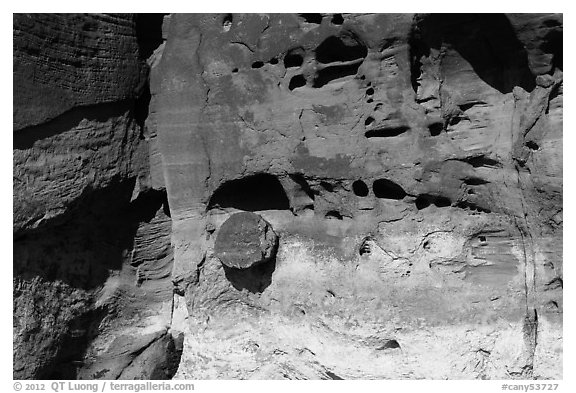 Petrified wood stump encrusted in cliff. Canyonlands National Park (black and white)