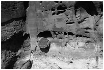 Petrified wood stump encrusted in cliff. Canyonlands National Park ( black and white)