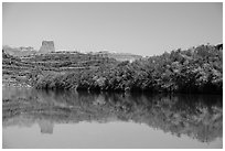 Trees on the shore of Colorado River. Canyonlands National Park ( black and white)