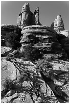 Junipers and pinnacles, Maze District. Canyonlands National Park, Utah, USA. (black and white)