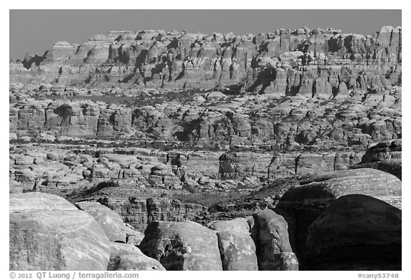 The Needles seen from the Doll House. Canyonlands National Park, Utah, USA.