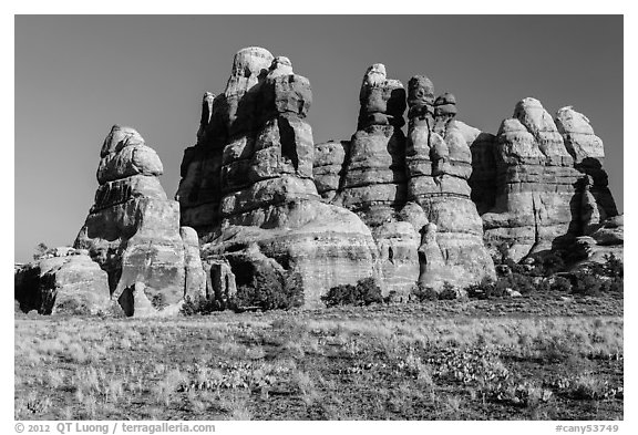 Cactus on flats and spires of the Doll House. Canyonlands National Park, Utah, USA.