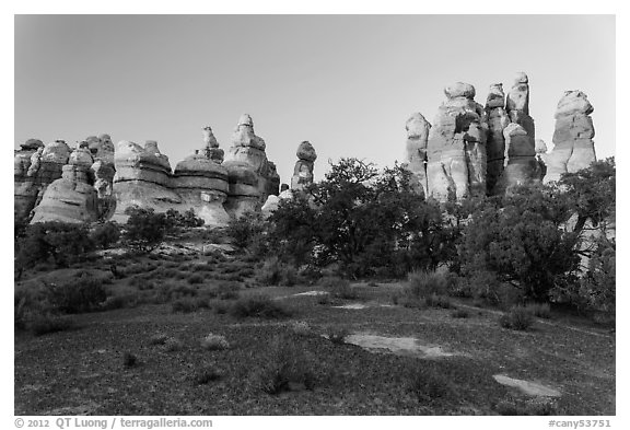 Cryptobiotic soil and pinnacles,. Canyonlands National Park (black and white)