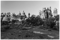 Cryptobiotic soil and pinnacles,. Canyonlands National Park ( black and white)