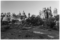 Cryptobiotic soil and pinnacles,. Canyonlands National Park, Utah, USA. (black and white)