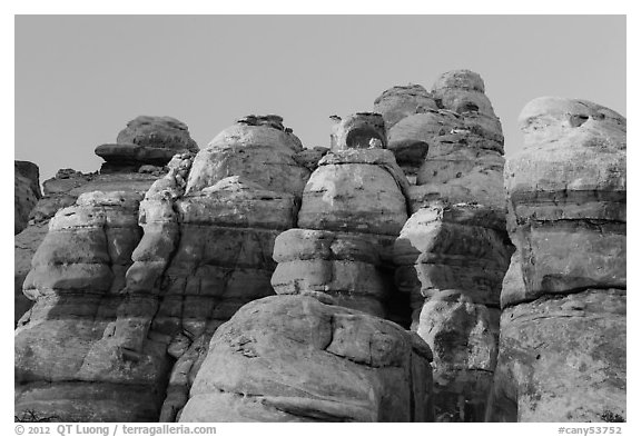 Pinnacles at sunset, Maze District. Canyonlands National Park (black and white)