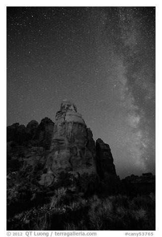 Doll House spires and Milky Way. Canyonlands National Park, Utah, USA.