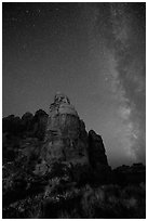 Doll House spires and Milky Way. Canyonlands National Park, Utah, USA. (black and white)