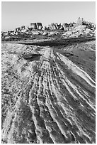 Sandstone swirls and Dollhouse pinnacles. Canyonlands National Park ( black and white)