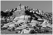 Doll House, Maze District. Canyonlands National Park ( black and white)