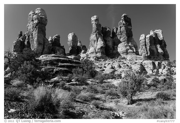 Whimsical spires, Doll House, Maze District. Canyonlands National Park (black and white)