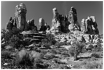 Whimsical spires, Doll House, Maze District. Canyonlands National Park, Utah, USA. (black and white)