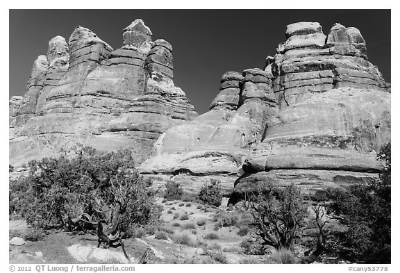 Massive spires, Dollhouse, Maze District. Canyonlands National Park (black and white)