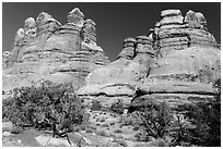 Massive spires, Dollhouse, Maze District. Canyonlands National Park, Utah, USA. (black and white)