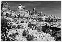 Spires and pinnacles, Dollhouse. Canyonlands National Park, Utah, USA. (black and white)