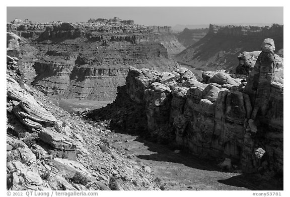 Surprise Valley and Colorado River canyon. Canyonlands National Park, Utah, USA.