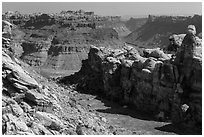 Surprise Valley and Colorado River canyon. Canyonlands National Park, Utah, USA. (black and white)