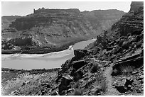Trail overlooking Colorado River. Canyonlands National Park ( black and white)