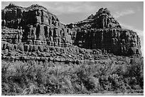 Cottonwoods and red cliffs. Canyonlands National Park ( black and white)