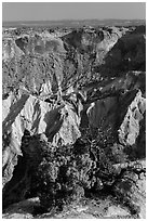 Juniper and Upheaval Dome. Canyonlands National Park ( black and white)