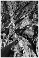 Colorful rocks in Upheaval Dome. Canyonlands National Park ( black and white)