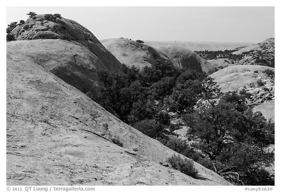 Whale Rock domes, Island in the Sky District. Canyonlands National Park (black and white)