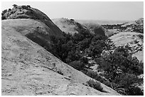 Whale Rock domes, Island in the Sky District. Canyonlands National Park ( black and white)